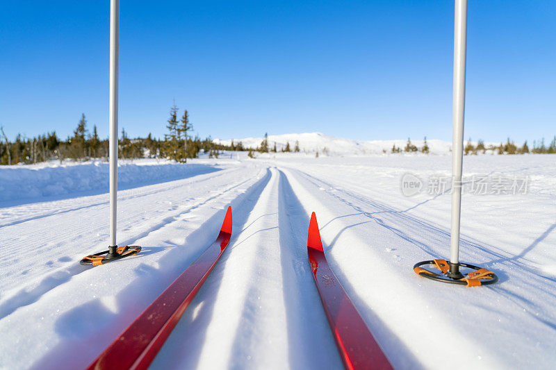 越野滑雪在Synnfjell, innlanddet /Oppland县挪威